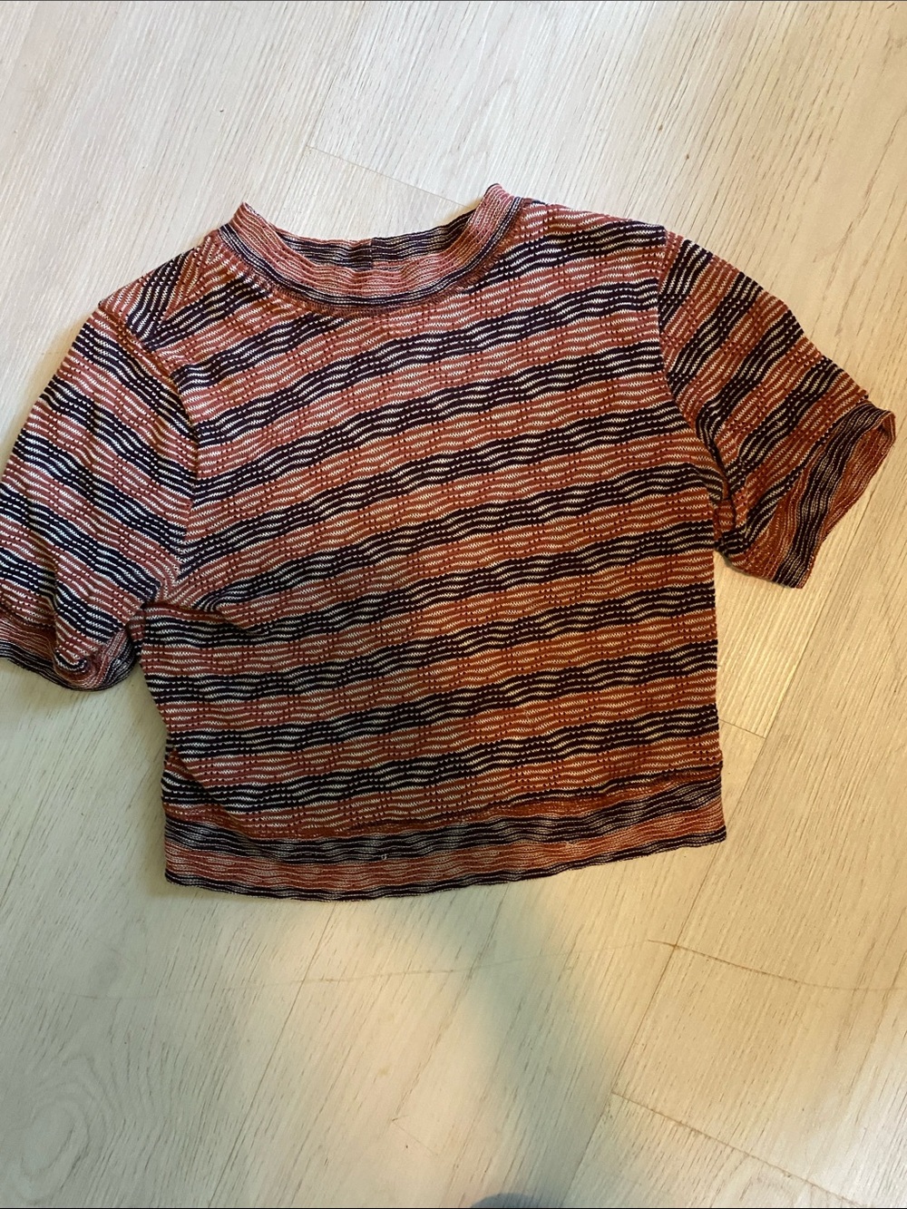 Striped Rust & Black Short Sleeve Crop Top
